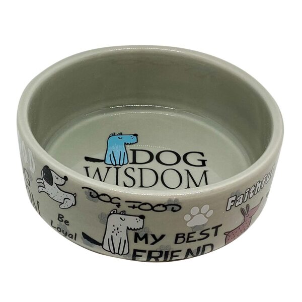 plato de ceramica para perros gris