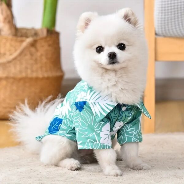 perro con guayabera chherfull