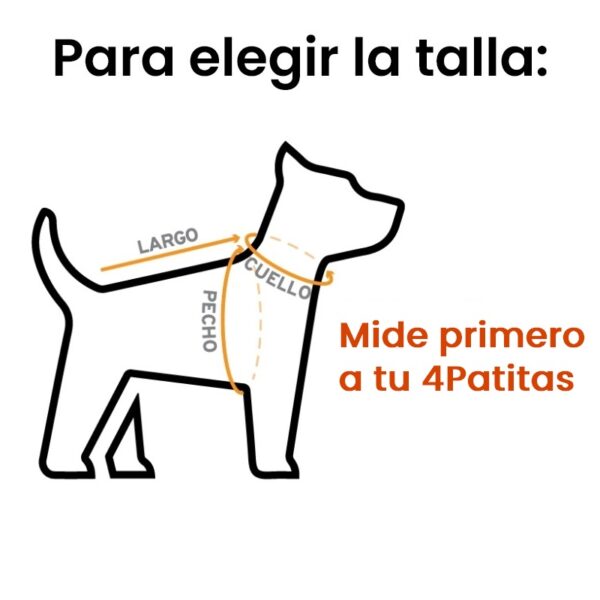 indicaciones para medir a tu perro y definir su talla de ropa