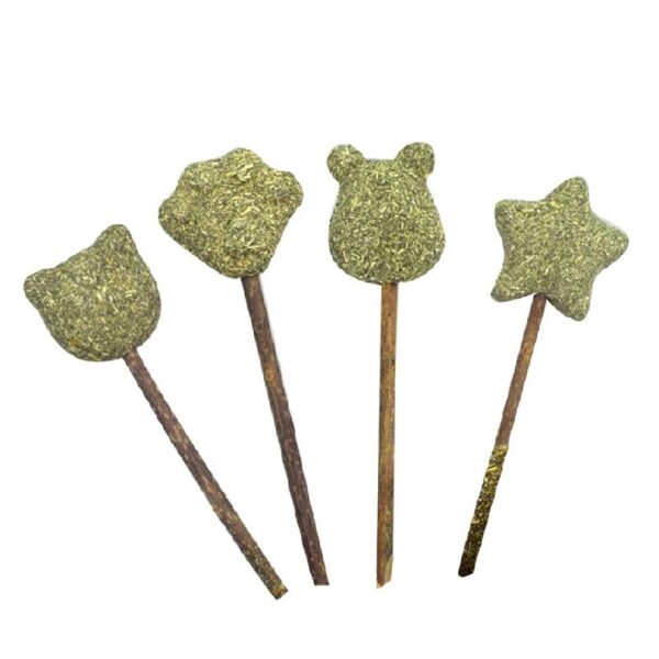 Catnip Lollipop con forma para Gatos